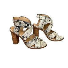 Load image into Gallery viewer, Joie | Women&#39;s Avery Python Leather Buckle Strap Sandal | Size: 37.5
