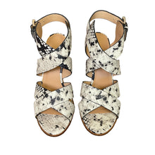 Load image into Gallery viewer, Joie | Women&#39;s Avery Python Leather Buckle Strap Sandal | Size: 37.5
